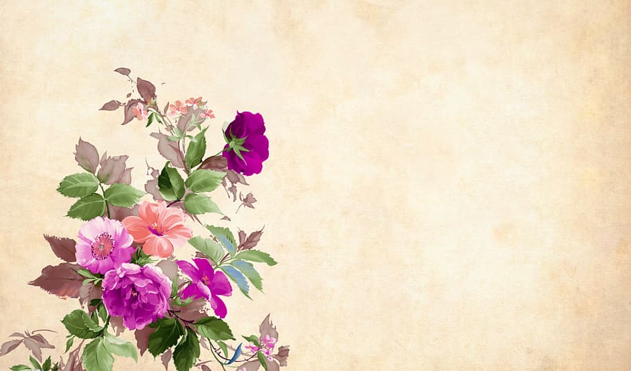 colorful, flowers, arranged, blank, background., flower, floral, paper ...