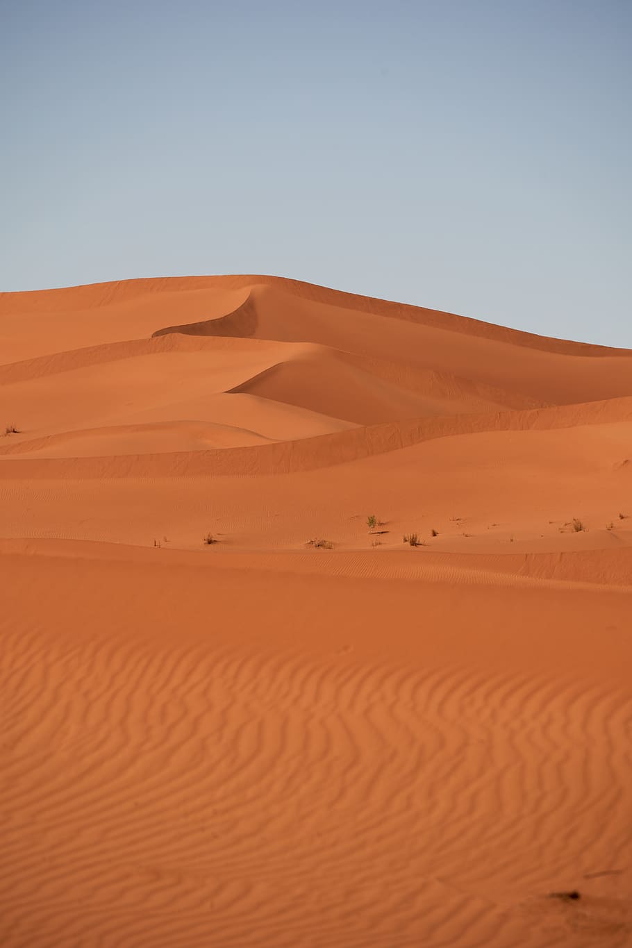 gurun, sahara, pasir, pemandangan, kering, panas, alam, bukit pasir, maroko, afrika