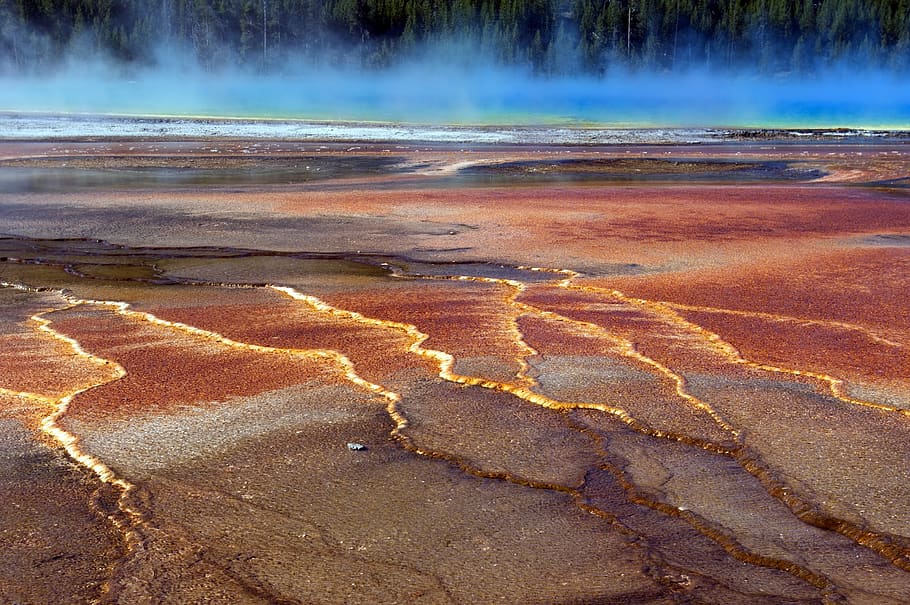 bacterial mats at grand prismatic, spring, hot, yellowstone, national, park, wyoming, nature, water, thermal