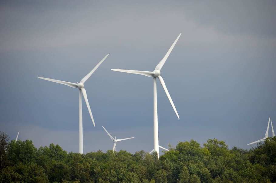 wind turbine, wind, energy, kinetic energy, mechanical energy, electric energy, wind turbines, wind farm, energy transformation, fuel and power generation