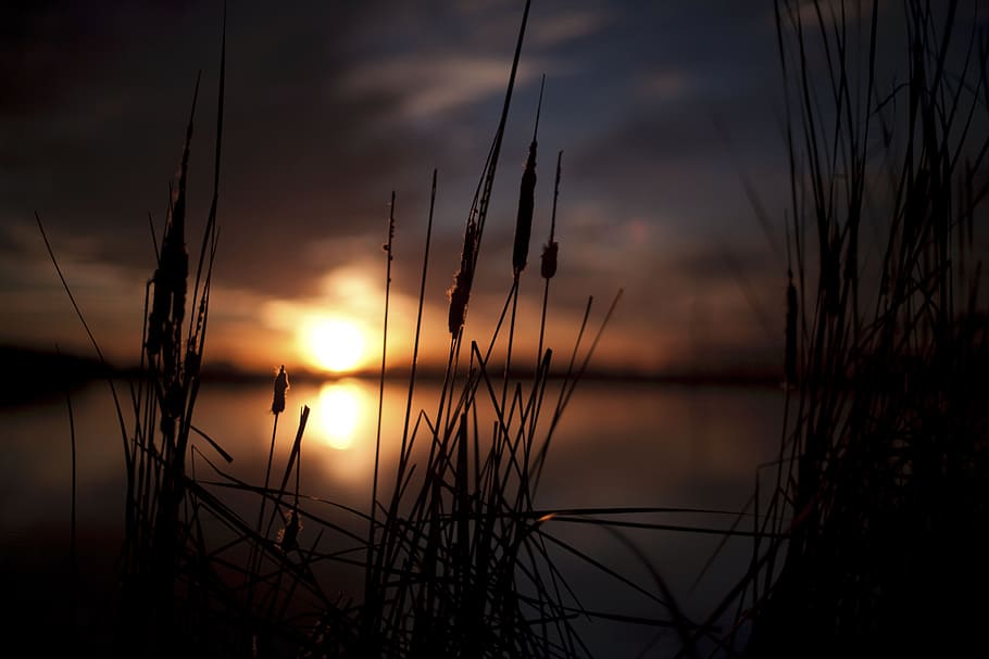 nature, sunset, grass, green, clouds, sky, landscape, water, beauty in nature, tranquility