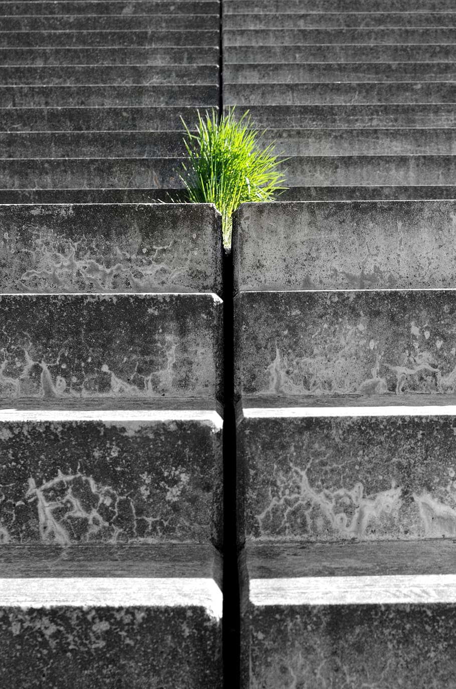 hope, force, live, breakthrough, plant, stairs, gradually, growth, nature, day