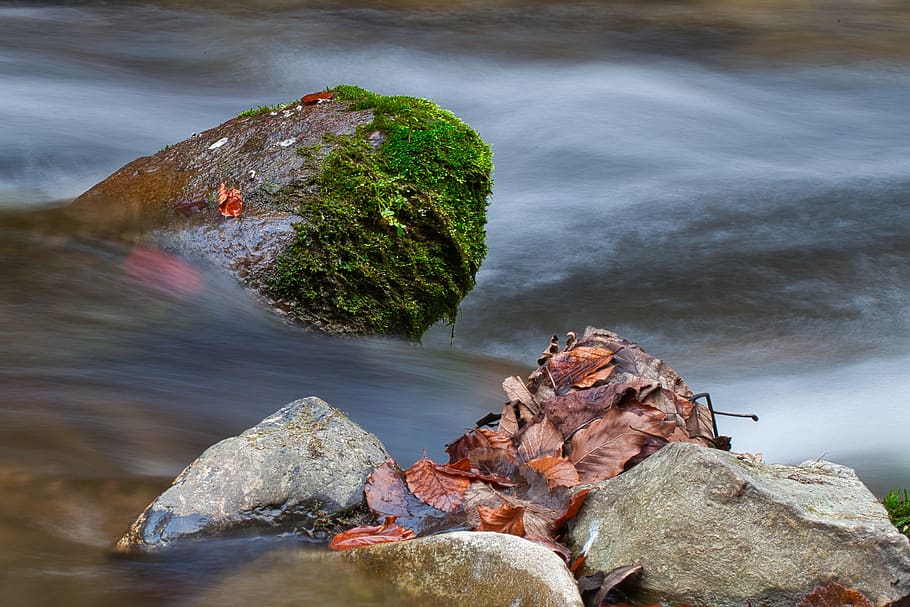 water, stone, bach, long exposure, autumn, stone in the water, flowing waters, autumn mood, rock, rock - object