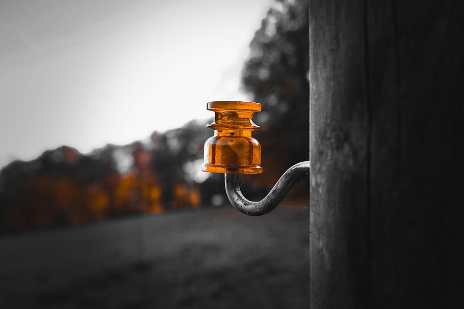 insulator, electric fence, pasture fence, post, shut off, mount, plastic, focus on foreground, selective focus, close-up