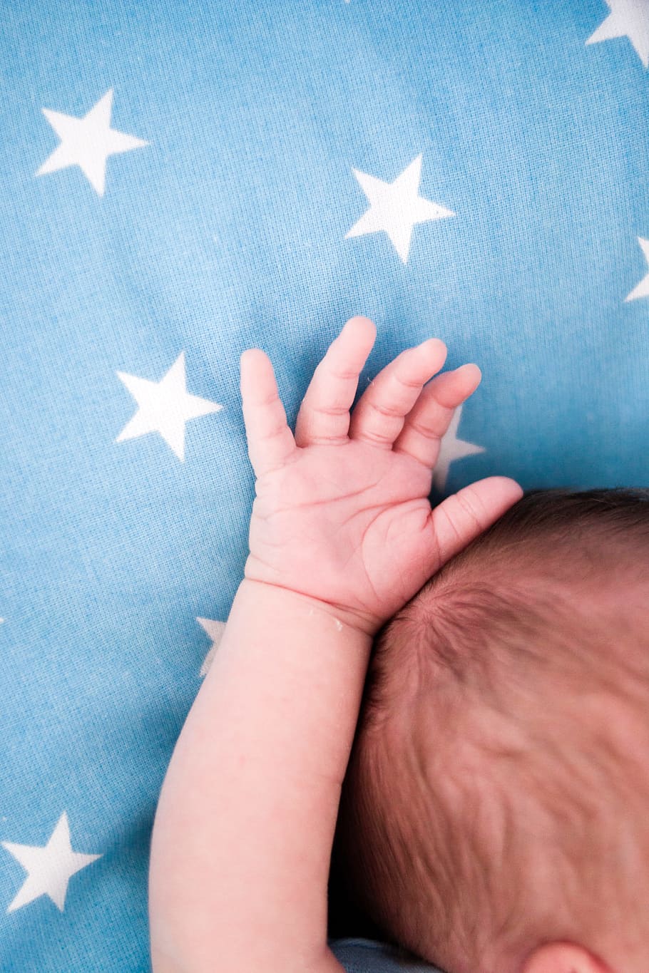 pequeno, bebê, mão, azul, estrelas, dedos, recém-nascido, família, forma de estrela, mão humana