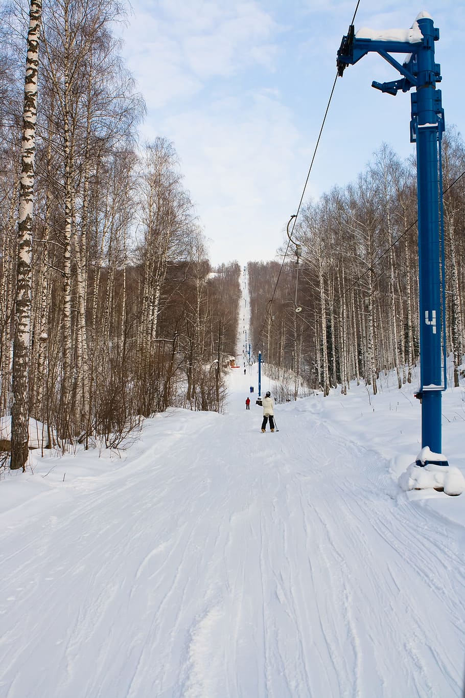 esqui, inverno, neve, declive, pessoas, esquiadores, esporte, temperatura fria, árvore, natureza