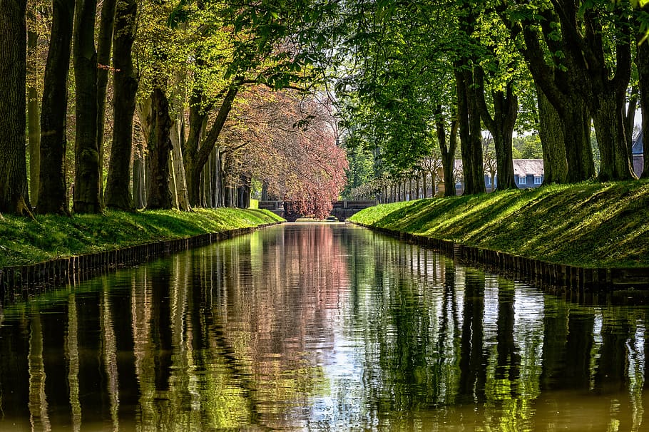 park, river, channel, water, mirroring, waterway, nature, green, trees, avenue