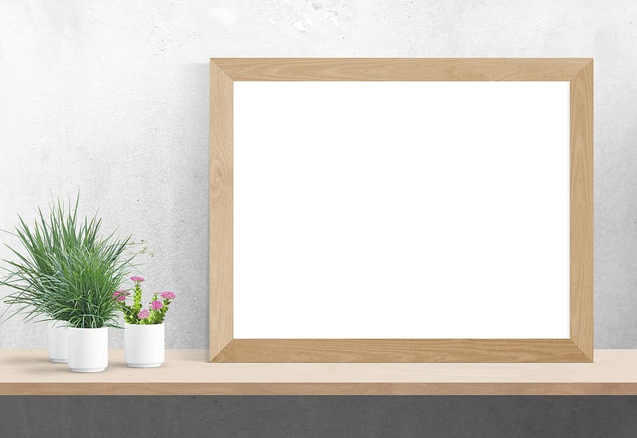 poster, frame, plants, desk, plant, copy space, flower, flowering plant, picture frame, indoors