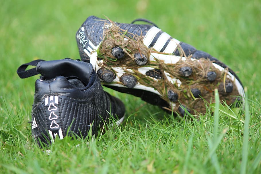 rugby boots, shoes, sport, grass, plant, animal themes, animal, nature, day, animal wildlife