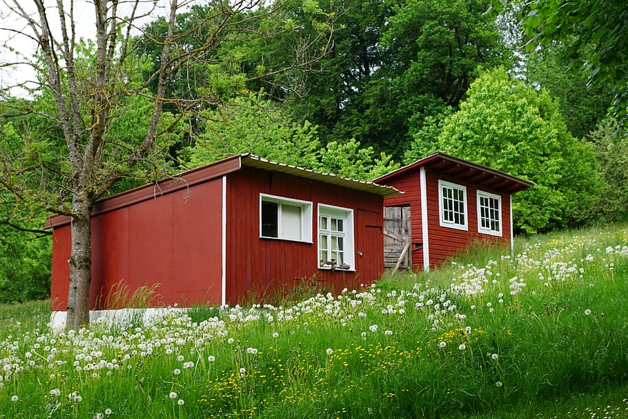 small, house, barn, tiny home, mini, meadow, field, finish, wood, colorful