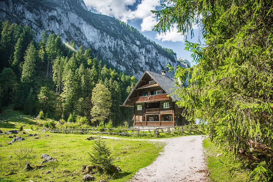 gosau, alpine, mountains, alpine panorama, mountain landscape, alm, mountain hut, tree, plant, architecture