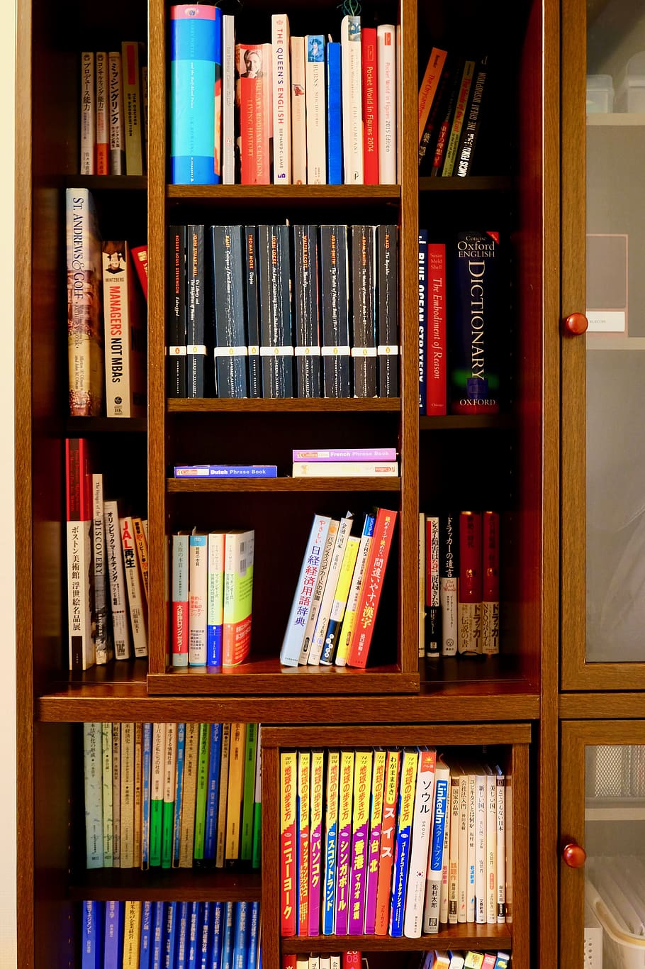 book shelf, colorful, variety, slide, racks, shelf, book, publication, education, large group of objects