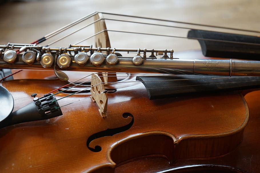 violino, contrabaixo, flauta, som, concerto, ouvir, música, cordas, músico, instrumento