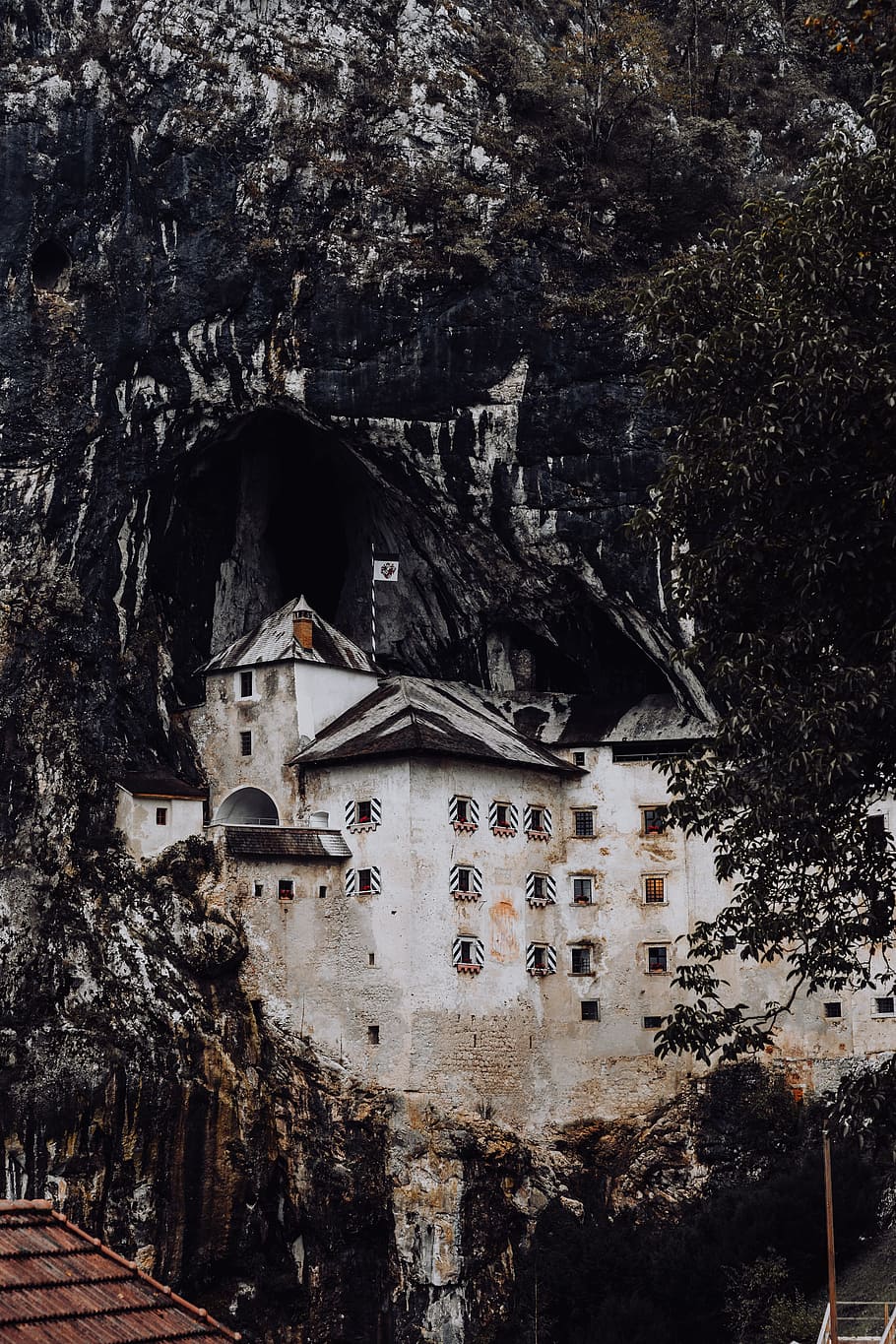 castelo predjama, boca da caverna, postojna, eslovénia, costa, europa, castelo, viagens, viagem, turismo