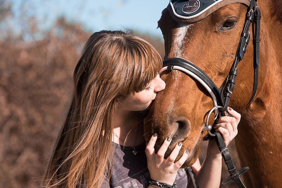 horse, animal, friendship, kiss, human, ride, girl, bridle, livestock, hair