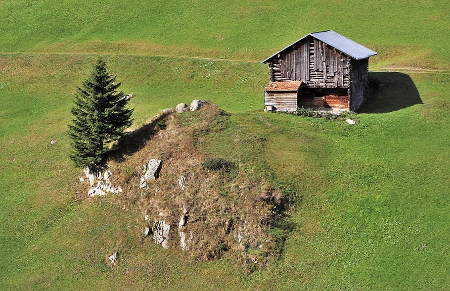 wooden house, mountains, meadow, switzerland, the alps, pasture land, view, the prospect of, grazing, high