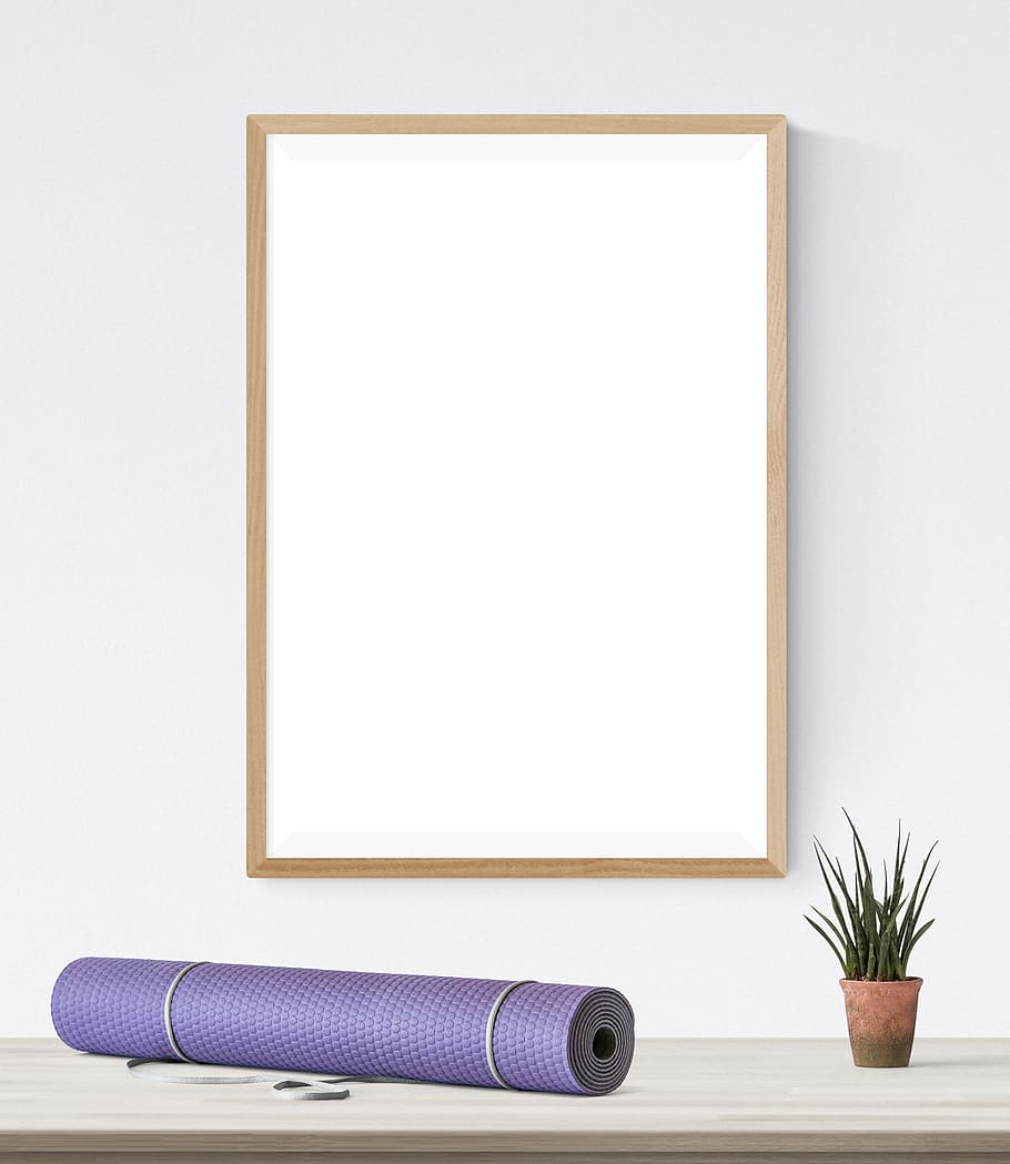 poster, frame, plant, mat, indoors, copy space, blank, studio shot, picture frame, white color