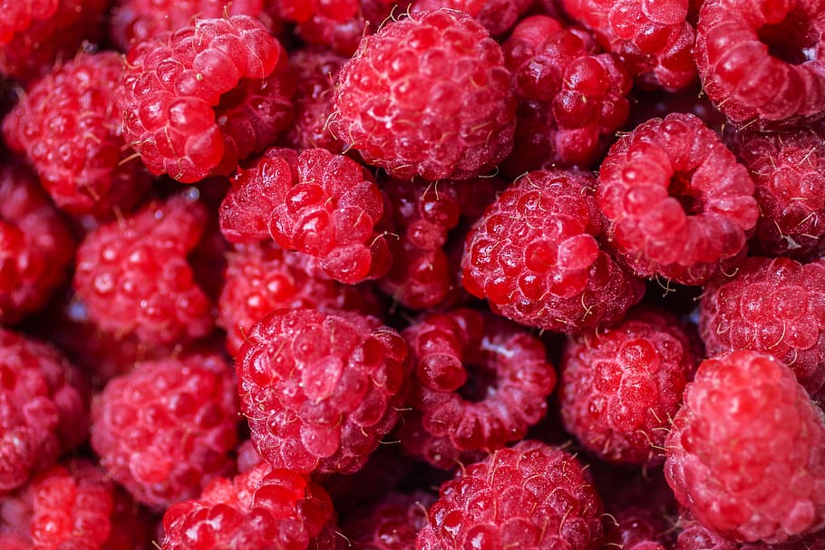raspberry, memetik, warna merah muda, merah, musim panas, buah, sehat, mentah, alami, taman