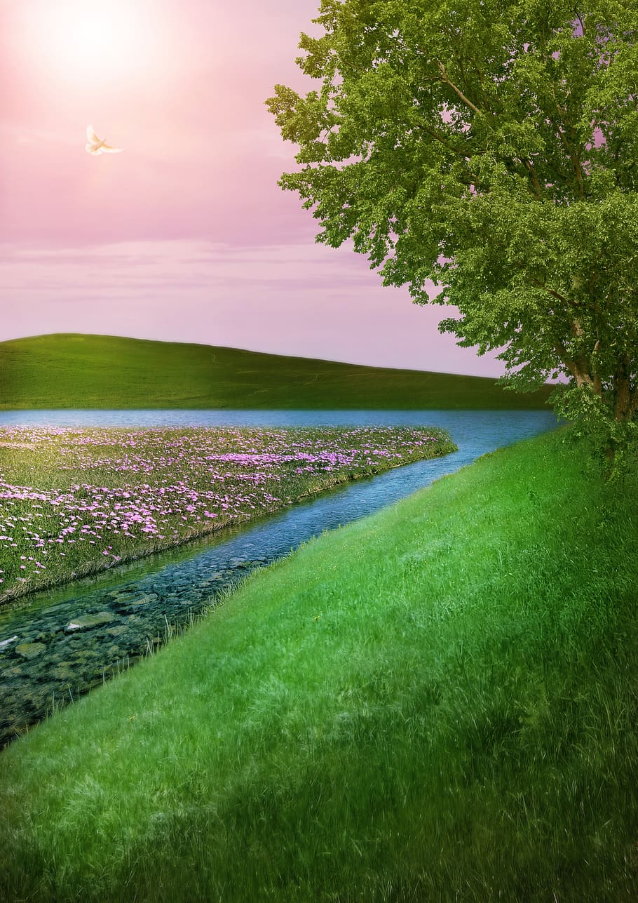 fantasy, landscape, meadow, tree, bach, lake, hill, grass, image manipulation, background image