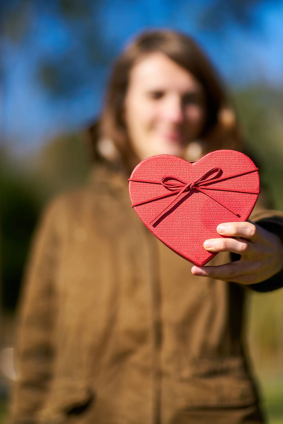 valentine's day, love, celebration, february, 14, nature, romance, romantic, symbol, emotion