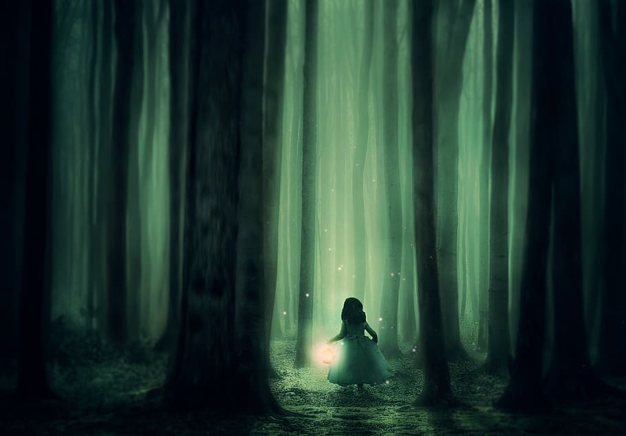 bosque, niña, árboles, niebla, linterna, iluminación, atmósfera, misterioso, oscuro, brillante