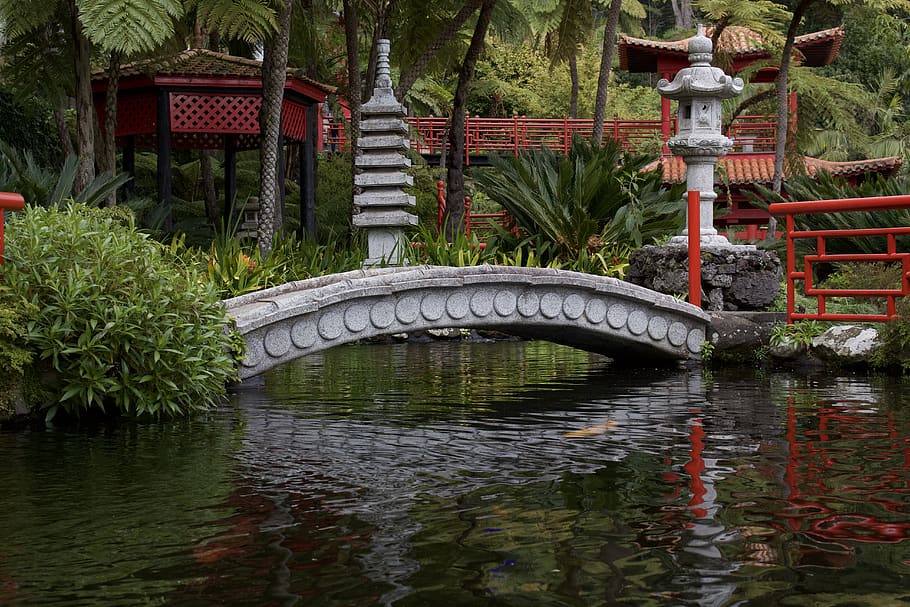 madeira, portugal, japanese, japanese garden, bridge, pond, koi, park, water, reflection