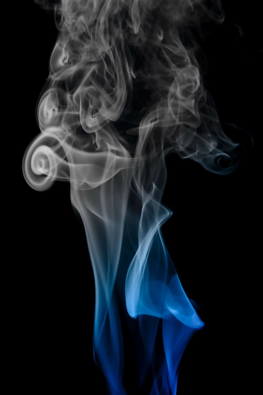 blue, background, smoke, isolated, black, smooth, shape, abstract, wave, scented