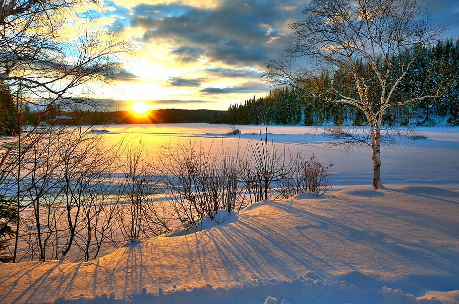 puesta de sol, invierno, naturaleza, frío, cielo, árboles, abedul, nubes, colores, nieve