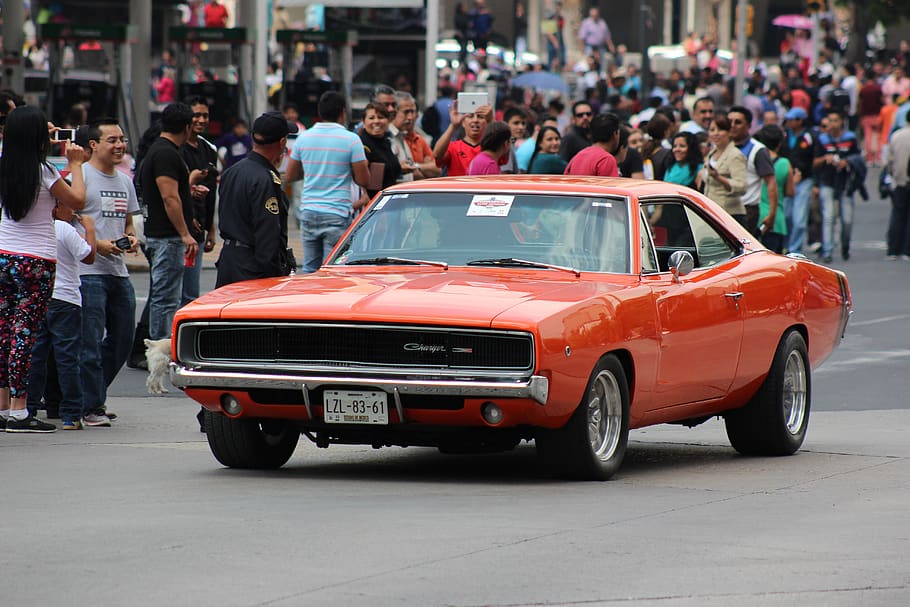 dodge, charger, parade, cars, classic, car, motor vehicle, mode of transportation, transportation, group of people