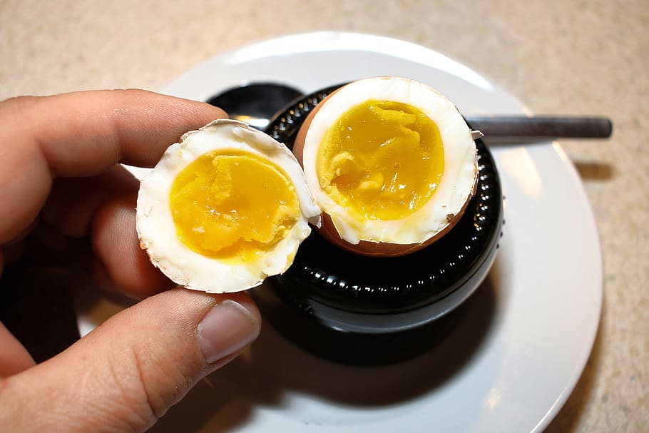 egg, yolk, protein, breakfast, hen's egg, healthy, egg yolk, eggshell, food, eat