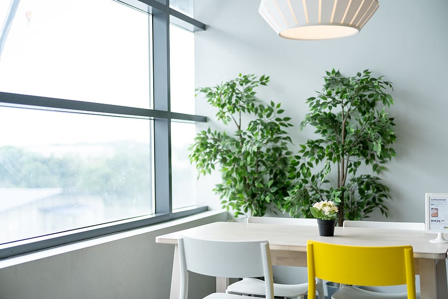 Ikea, mesa, comedor, silla, lámpara, planta, natural, estilo de vida, vida, vivir