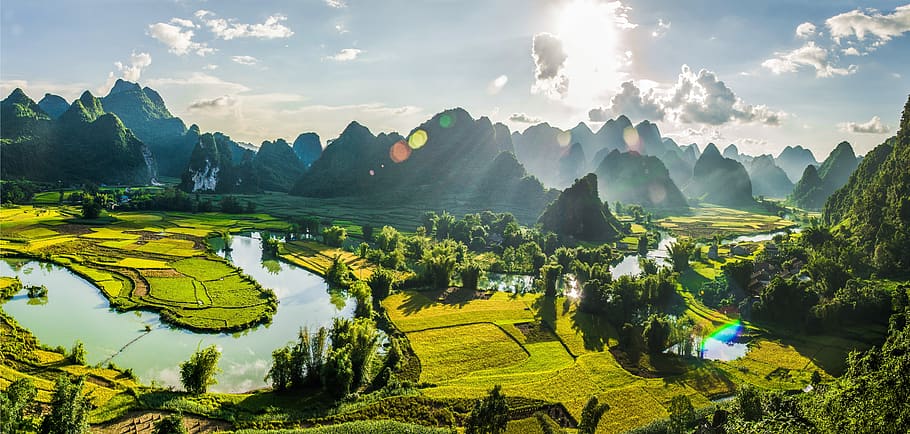 style, trung khanh, cao bang, vietnam, field rice, landcapes, scenics - nature, landscape, field, environment
