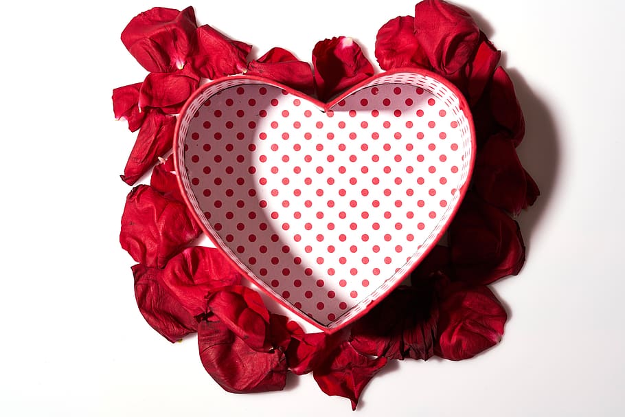 heart, valentine's day, red, love, in love, valentine, beautiful, gift, color, holiday