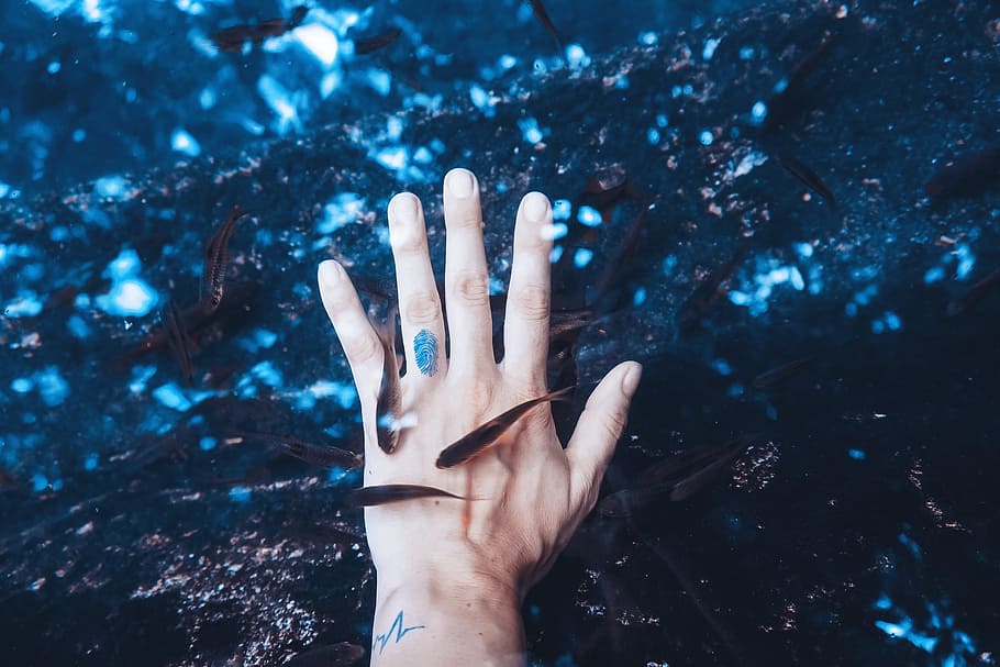 mano en agua, genteViajes, vacaciones, océano, mar, mano humana, mano, parte del cuerpo humano, parte del cuerpo, una persona