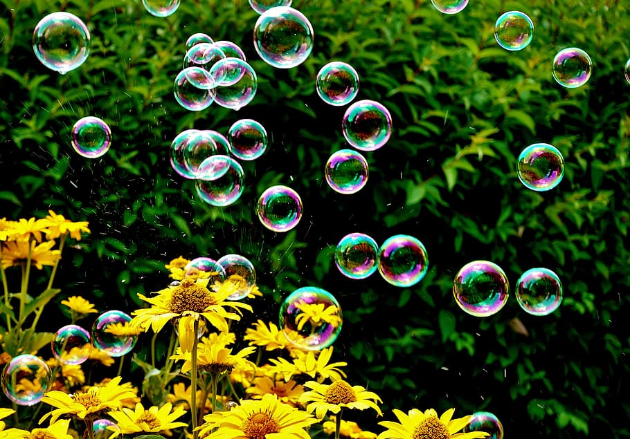 soap bubbles, colorful, summer, float, slightly, ease, make soap bubbles, soapy water, balls, vulnerability