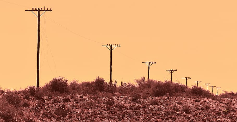 telephone lines, wires, abandoned, old, forlorn, karoo, south africa, technology, sky, electricity