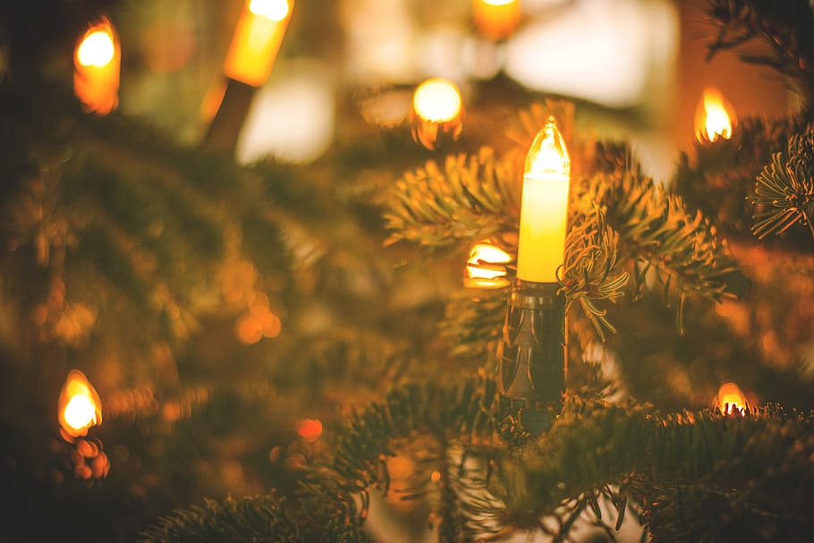 Natal, pohon, lampu, dekorasi, liburan, musim, kabur, bokeh, perayaan, diterangi