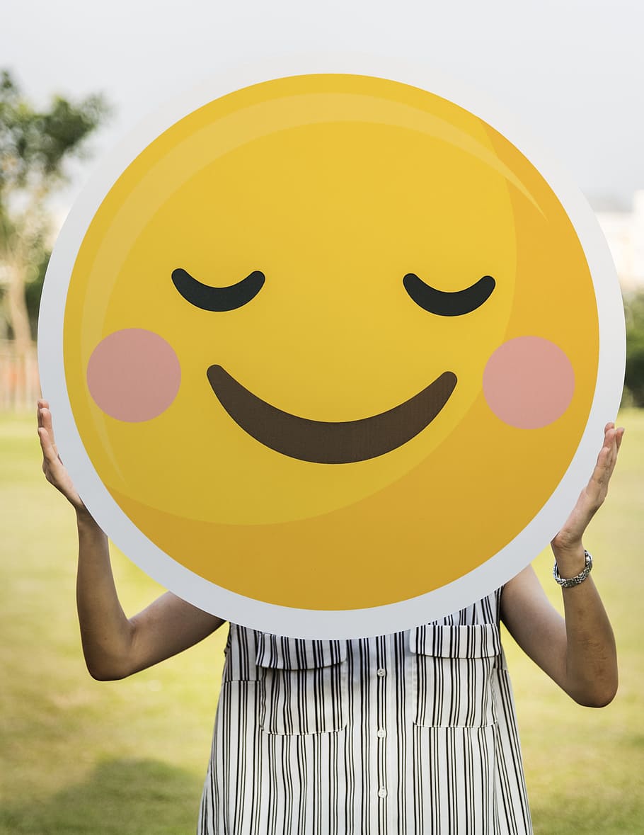 carrying, cartoon, emoji, emoticon, expression, face, field, fun, happiness, happy