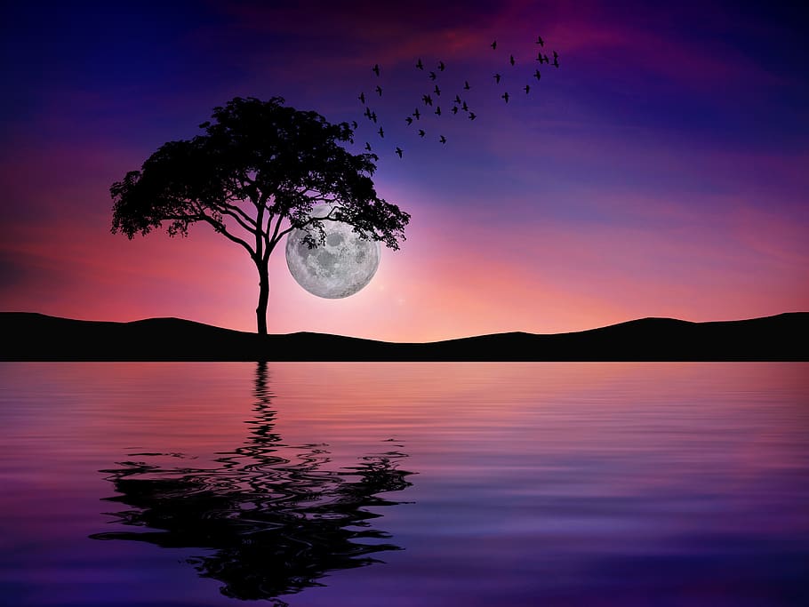 night, reflection, water, nature, darkness, the night, full moon, lake, tree, sky