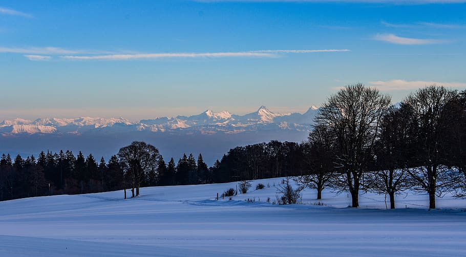 winter, snow, twilight, trees, landscape, alps, mountains, forest, scenic, chaumont