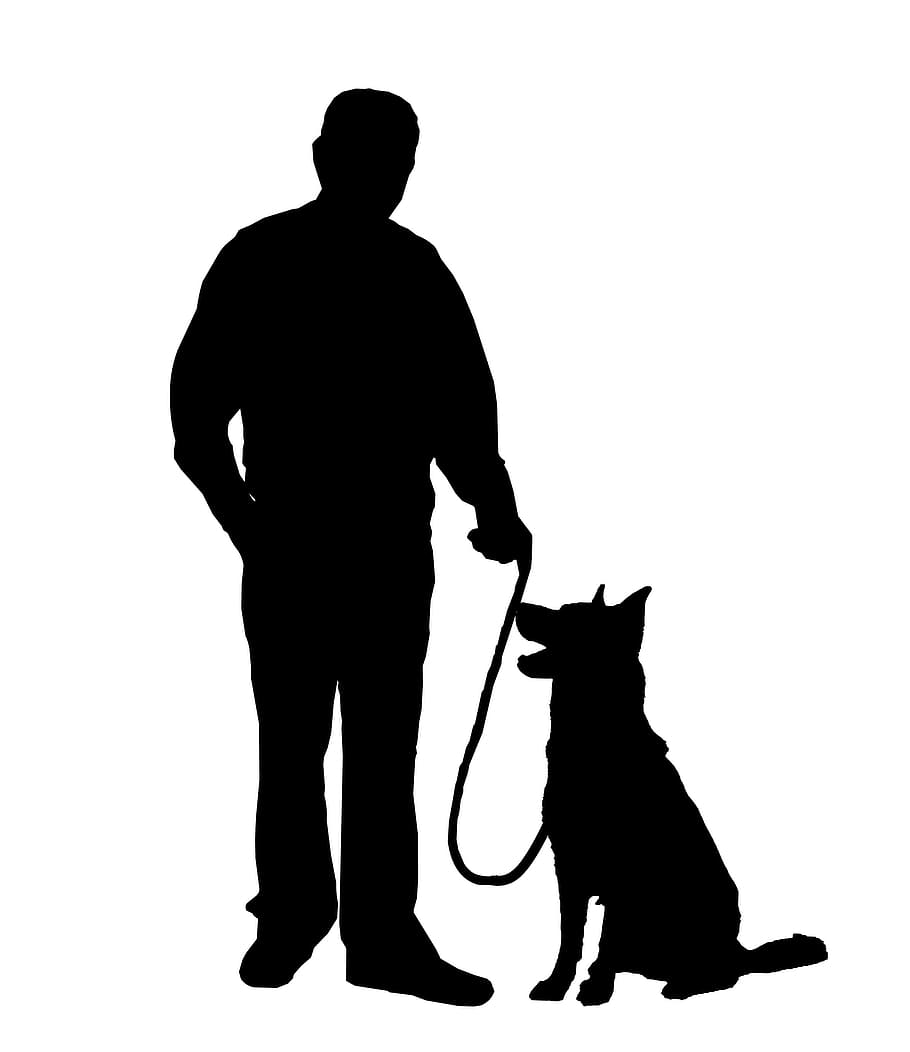 silueta, hombre, perro, para caminar, animal, canino, amistad, guardia, humano, mamífero