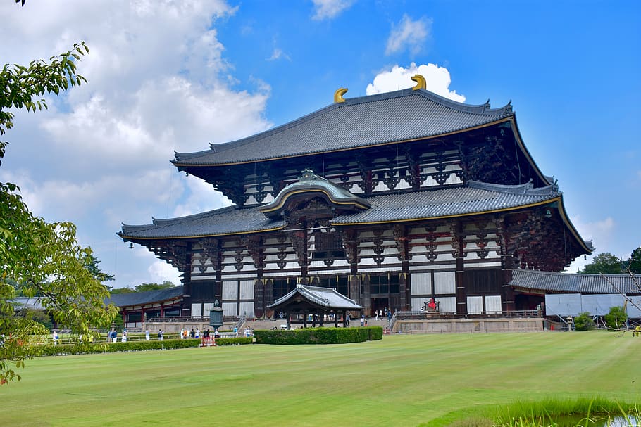 japão, japonês, tradicional, tóquio, kyoto, templo, ásia, cultura, ao ar livre, antiga