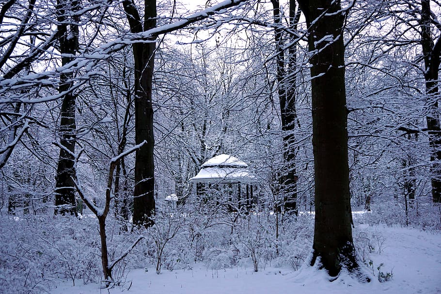 malmö, invierno, suecia, al aire libre, skåne, navidad, el parque del castillo, adviento, diciembre, nieve