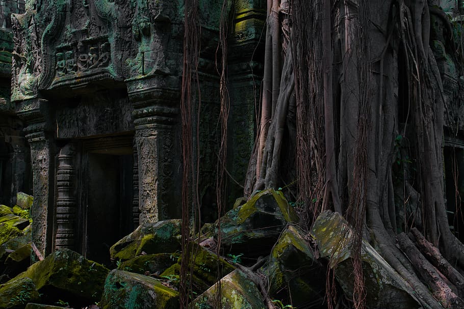 temple, mysticism, mystical, lighting, ruin, dramatic, weird, atmosphere, atmospheric, green