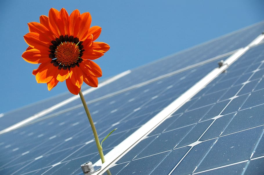 solar, fotovoltaica, renovable, energía solar, células solares, generación de energía, energía renovable, solar fotovoltaica, ecológica, electricidad