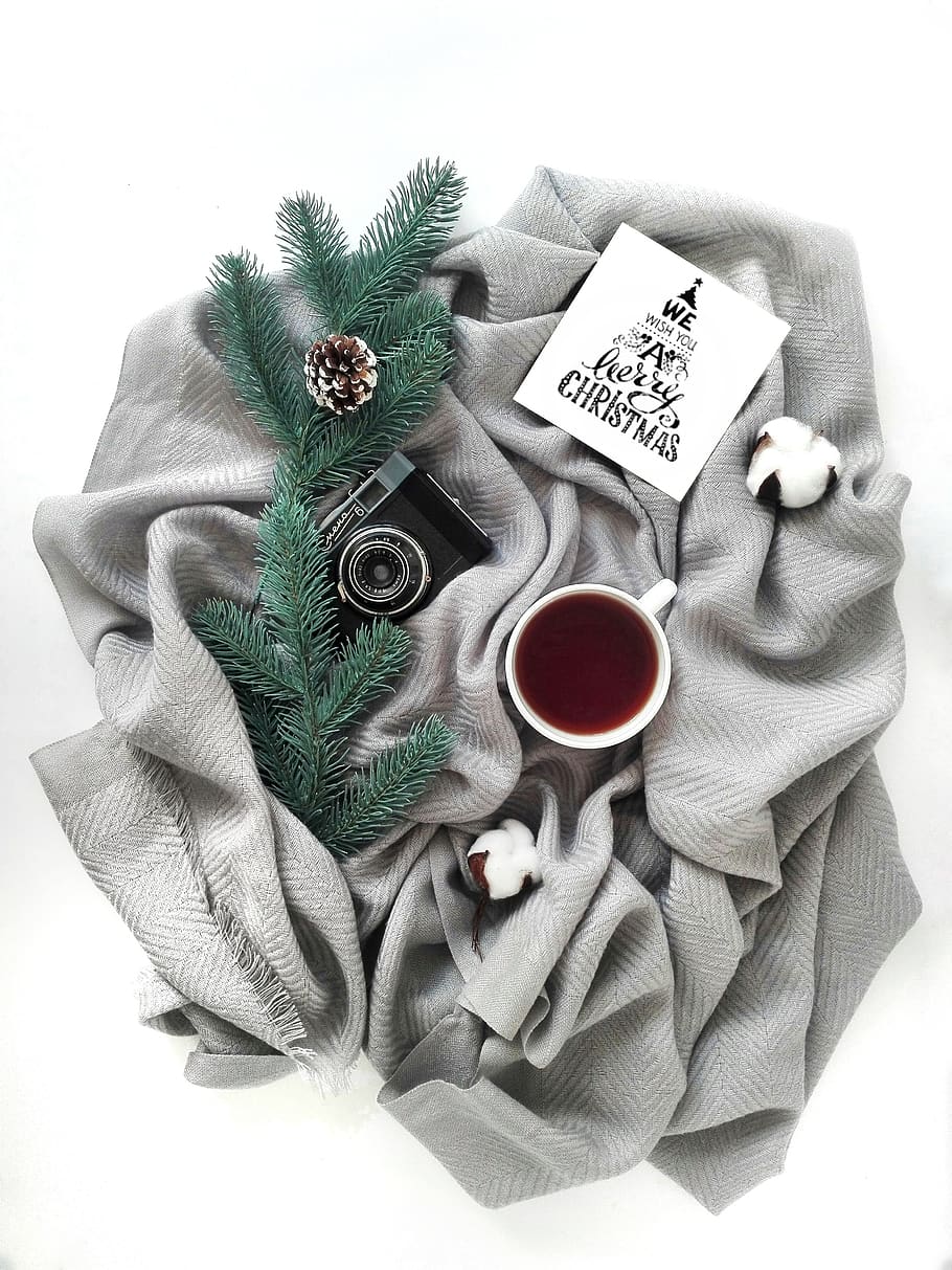 christmas, spruce, tea, camera, potion, headband, new year, winter, comfort, layout