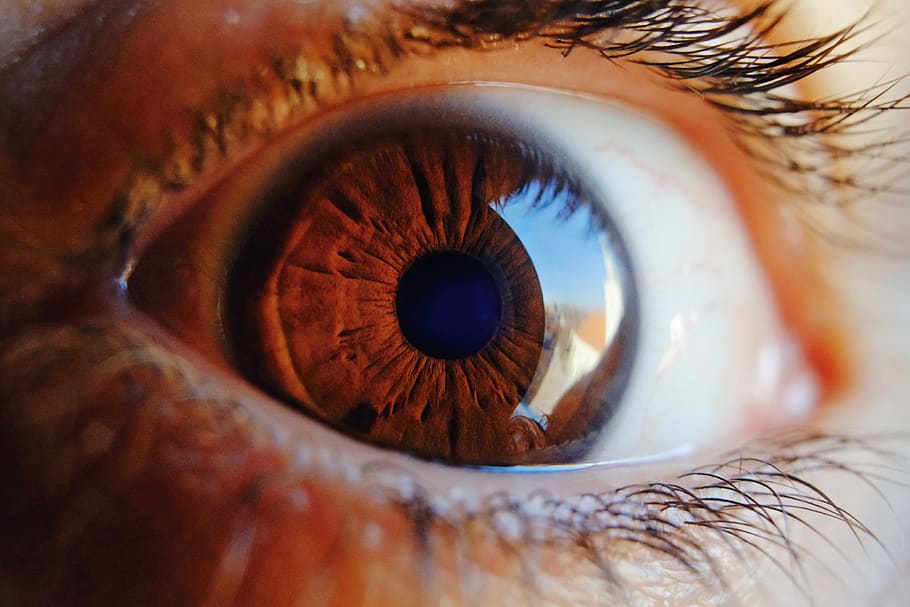 ojo, macro, visión, humano, iris, mujer, mirada, pupila, hembra, globo ocular