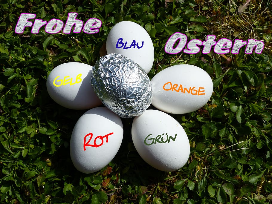 egg, easter, easter egg, easter nest, funny, artistically, ironically, aluminum foil, easter eggs, osterkarte