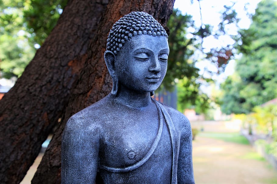 buddhism, portrait, sculpture, tree, the statue, one, at the court of, buddha, spirituality, stone