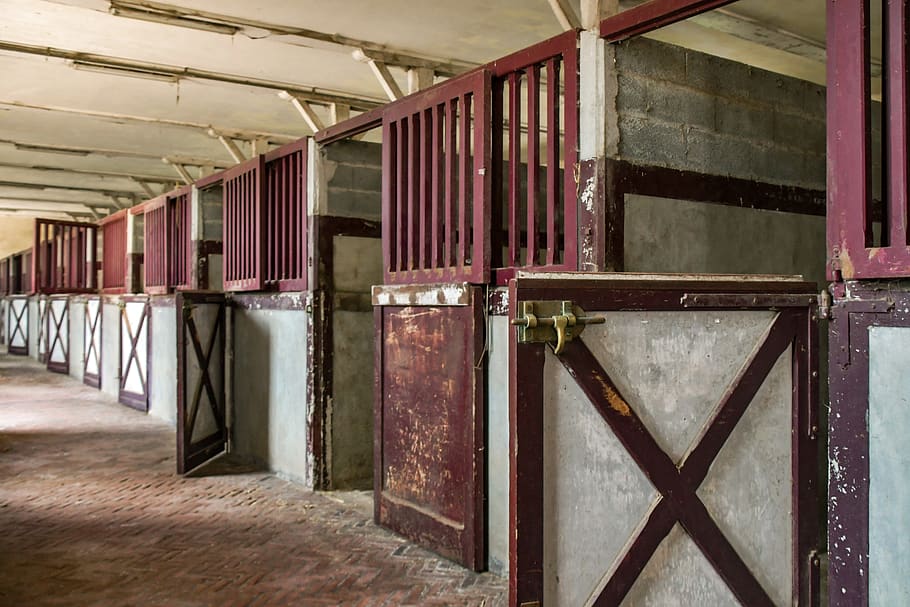 stable, box, horseback riding, interior, vacuum, indoors, architecture, building, wood - material, in a row